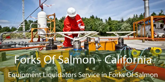 Forks Of Salmon - California Equipment Liquidators Service in Forks Of Salmon