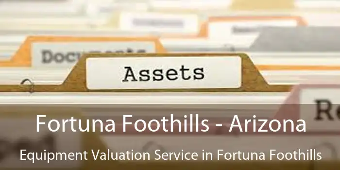 Fortuna Foothills - Arizona Equipment Valuation Service in Fortuna Foothills