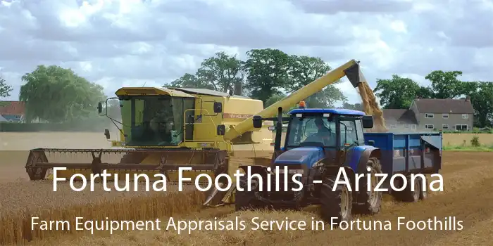 Fortuna Foothills - Arizona Farm Equipment Appraisals Service in Fortuna Foothills