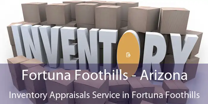 Fortuna Foothills - Arizona Inventory Appraisals Service in Fortuna Foothills