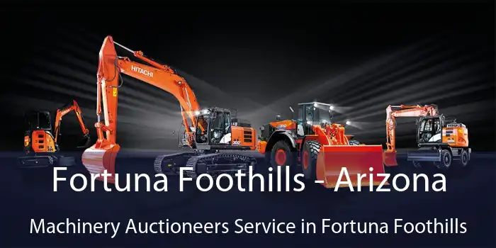 Fortuna Foothills - Arizona Machinery Auctioneers Service in Fortuna Foothills