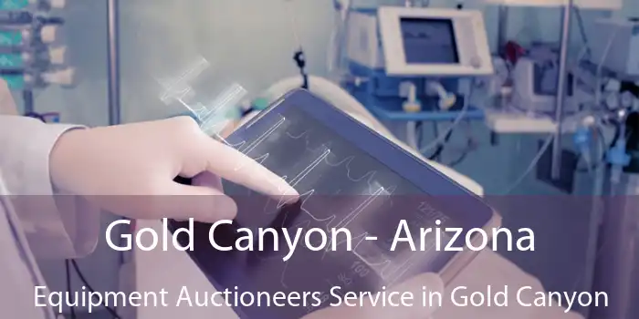 Gold Canyon - Arizona Equipment Auctioneers Service in Gold Canyon