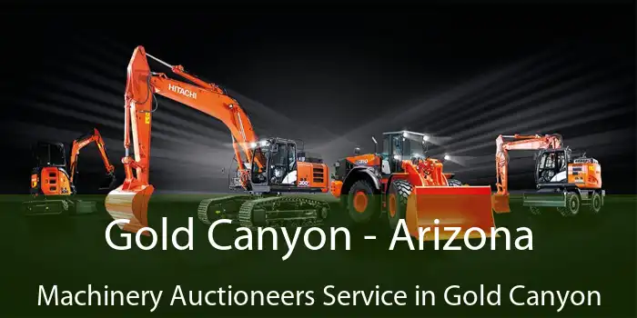 Gold Canyon - Arizona Machinery Auctioneers Service in Gold Canyon