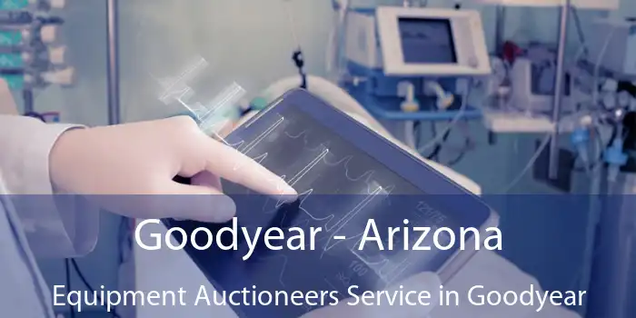 Goodyear - Arizona Equipment Auctioneers Service in Goodyear