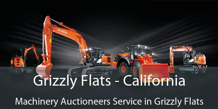 Grizzly Flats - California Machinery Auctioneers Service in Grizzly Flats