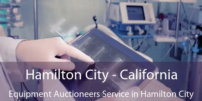 Hamilton City - California Equipment Auctioneers Service in Hamilton City