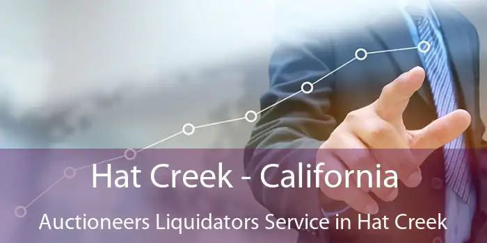 Hat Creek - California Auctioneers Liquidators Service in Hat Creek