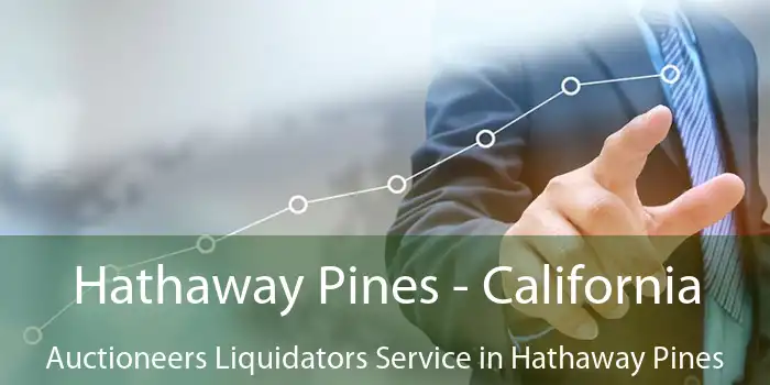 Hathaway Pines - California Auctioneers Liquidators Service in Hathaway Pines