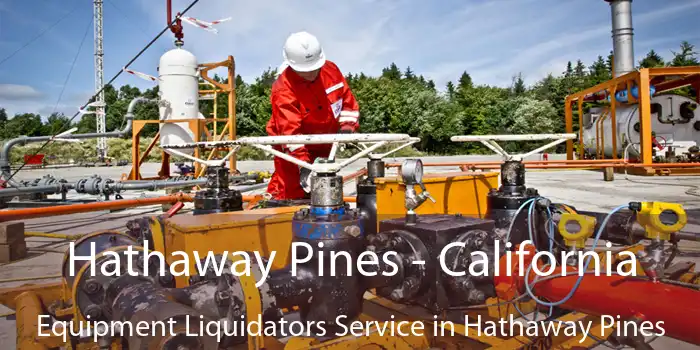 Hathaway Pines - California Equipment Liquidators Service in Hathaway Pines