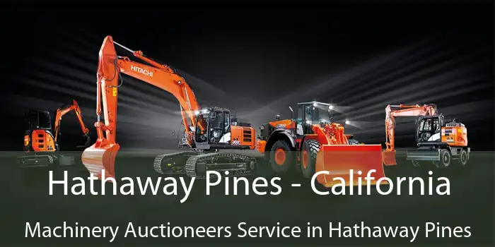 Hathaway Pines - California Machinery Auctioneers Service in Hathaway Pines