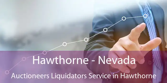 Hawthorne - Nevada Auctioneers Liquidators Service in Hawthorne