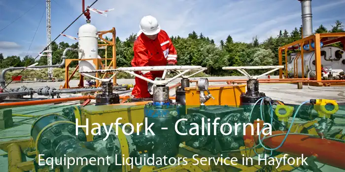 Hayfork - California Equipment Liquidators Service in Hayfork