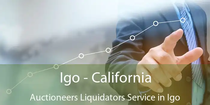 Igo - California Auctioneers Liquidators Service in Igo