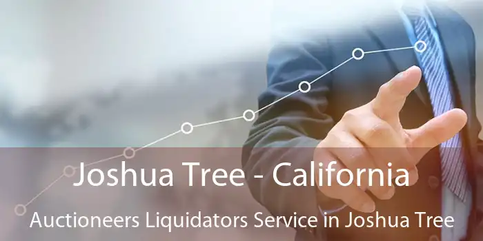 Joshua Tree - California Auctioneers Liquidators Service in Joshua Tree