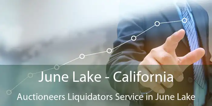 June Lake - California Auctioneers Liquidators Service in June Lake