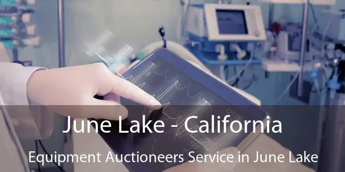 June Lake - California Equipment Auctioneers Service in June Lake