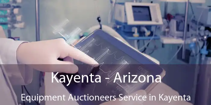 Kayenta - Arizona Equipment Auctioneers Service in Kayenta