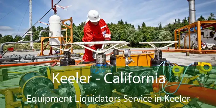 Keeler - California Equipment Liquidators Service in Keeler