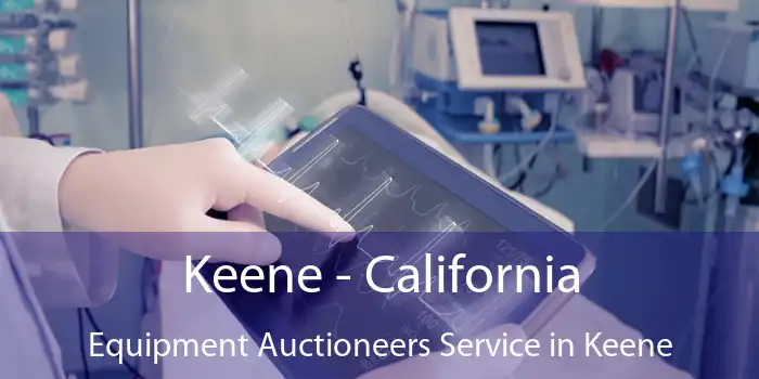 Keene - California Equipment Auctioneers Service in Keene