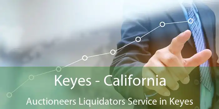 Keyes - California Auctioneers Liquidators Service in Keyes