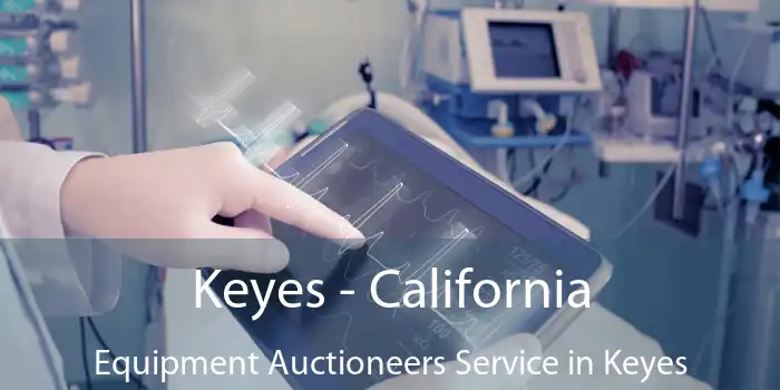 Keyes - California Equipment Auctioneers Service in Keyes