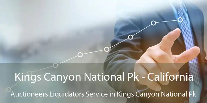 Kings Canyon National Pk - California Auctioneers Liquidators Service in Kings Canyon National Pk