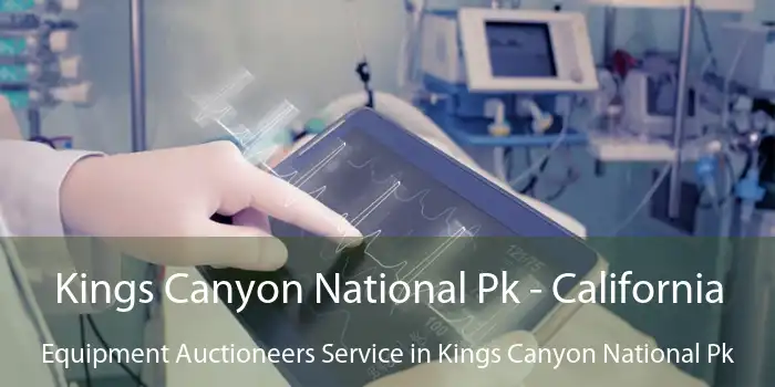 Kings Canyon National Pk - California Equipment Auctioneers Service in Kings Canyon National Pk