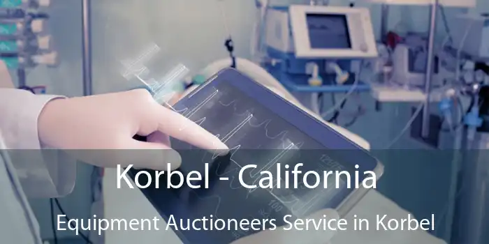 Korbel - California Equipment Auctioneers Service in Korbel