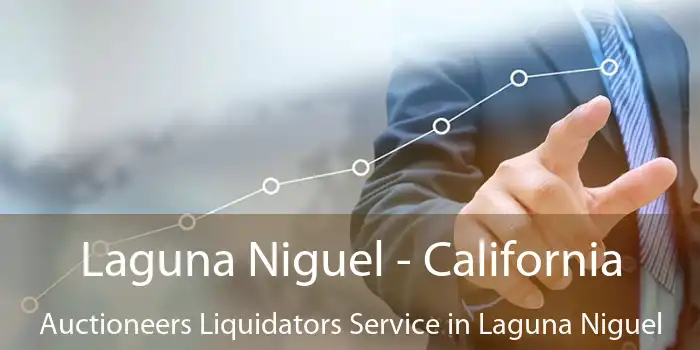 Laguna Niguel - California Auctioneers Liquidators Service in Laguna Niguel