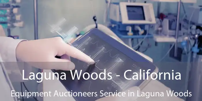 Laguna Woods - California Equipment Auctioneers Service in Laguna Woods