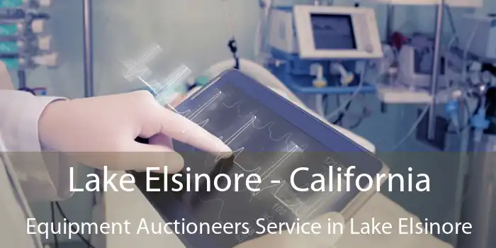 Lake Elsinore - California Equipment Auctioneers Service in Lake Elsinore