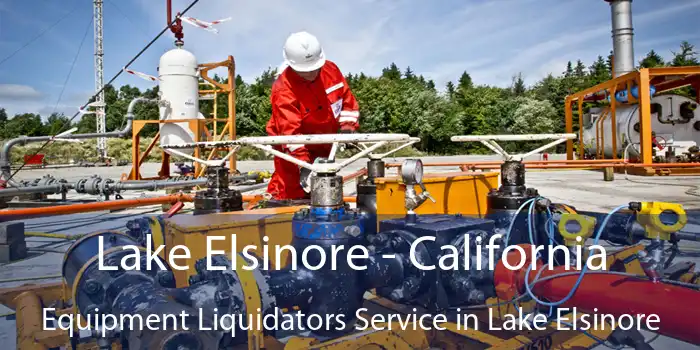 Lake Elsinore - California Equipment Liquidators Service in Lake Elsinore