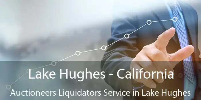 Lake Hughes - California Auctioneers Liquidators Service in Lake Hughes