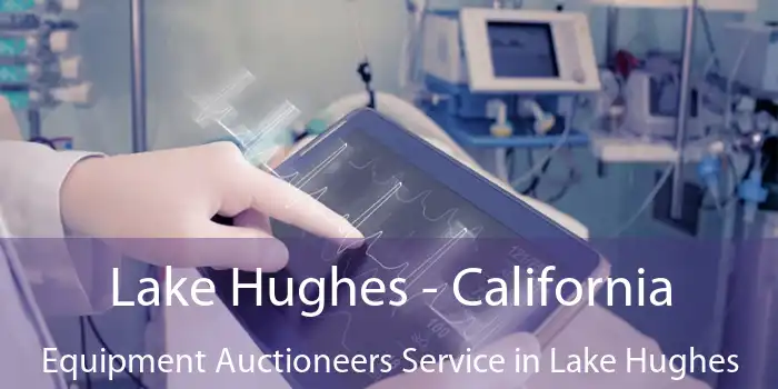 Lake Hughes - California Equipment Auctioneers Service in Lake Hughes