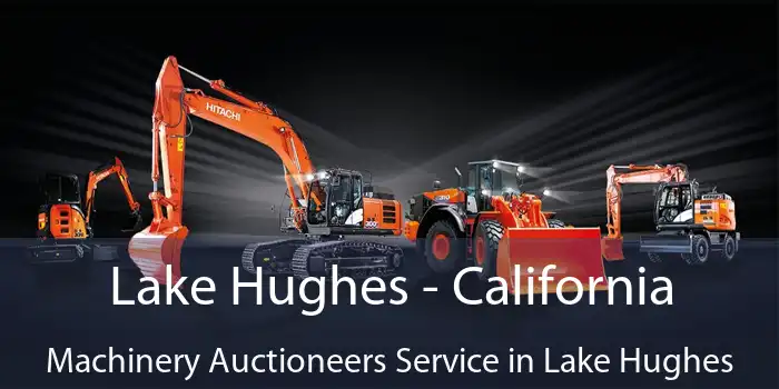 Lake Hughes - California Machinery Auctioneers Service in Lake Hughes