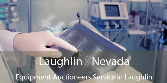 Laughlin - Nevada Equipment Auctioneers Service in Laughlin