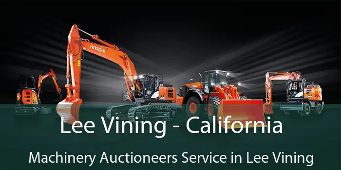 Lee Vining - California Machinery Auctioneers Service in Lee Vining