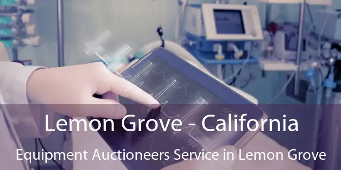 Lemon Grove - California Equipment Auctioneers Service in Lemon Grove