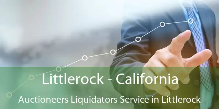 Littlerock - California Auctioneers Liquidators Service in Littlerock