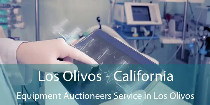 Los Olivos - California Equipment Auctioneers Service in Los Olivos