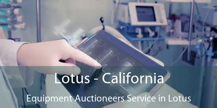 Lotus - California Equipment Auctioneers Service in Lotus