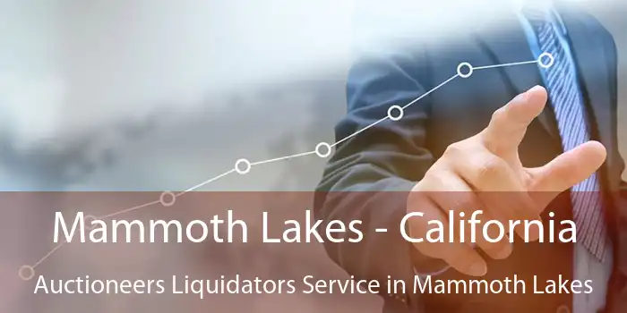 Mammoth Lakes - California Auctioneers Liquidators Service in Mammoth Lakes