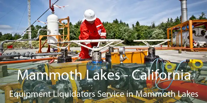 Mammoth Lakes - California Equipment Liquidators Service in Mammoth Lakes