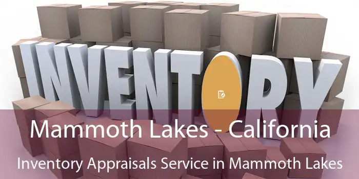 Mammoth Lakes - California Inventory Appraisals Service in Mammoth Lakes