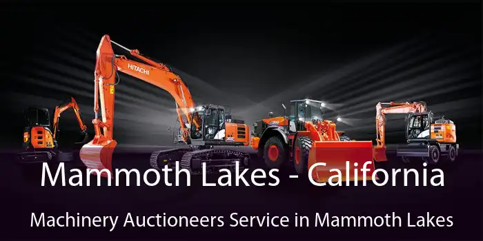 Mammoth Lakes - California Machinery Auctioneers Service in Mammoth Lakes