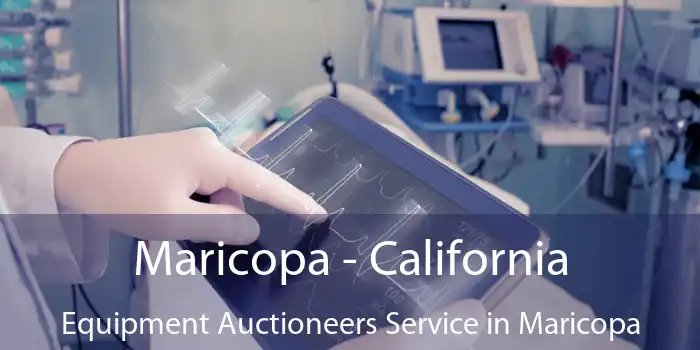 Maricopa - California Equipment Auctioneers Service in Maricopa