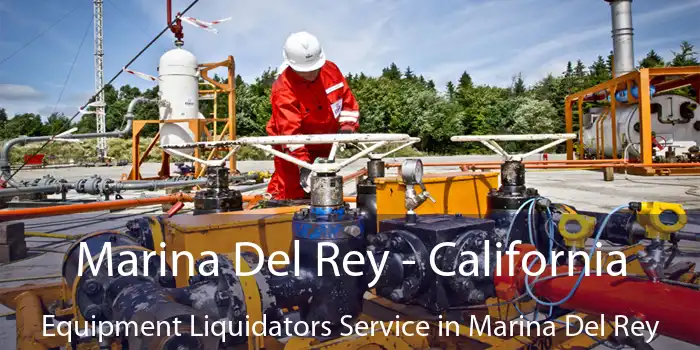 Marina Del Rey - California Equipment Liquidators Service in Marina Del Rey