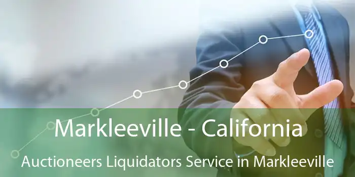 Markleeville - California Auctioneers Liquidators Service in Markleeville