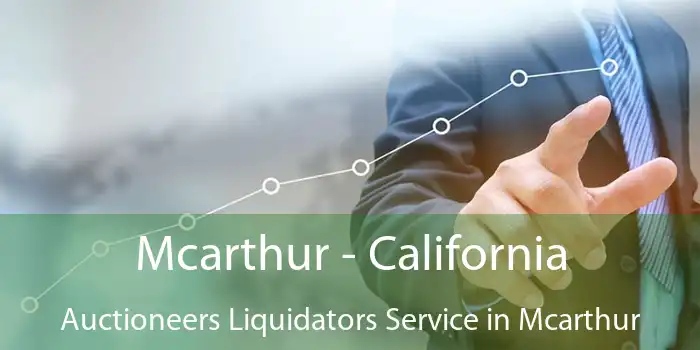 Mcarthur - California Auctioneers Liquidators Service in Mcarthur