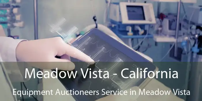 Meadow Vista - California Equipment Auctioneers Service in Meadow Vista